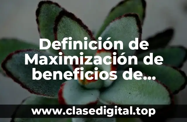 Definición de Maximización de beneficios de competencia monopolista