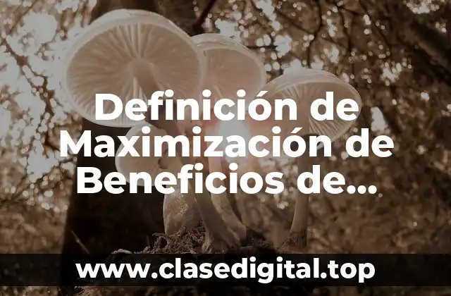Definición de Maximización de Beneficios de Competencia Perfecta