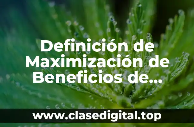 Definición de Maximización de Beneficios de Oligopolio