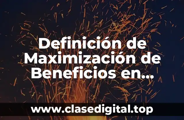 Definición de Maximización de Beneficios en Economía