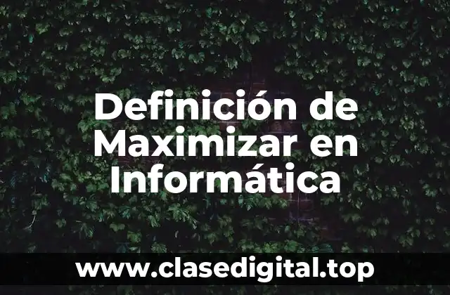 Definición de Maximizar en Informática