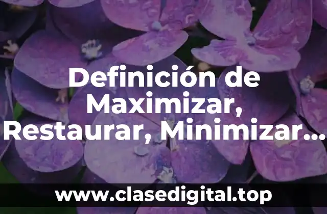 Definición de Maximizar, Restaurar, Minimizar y Cerrar en Computación
