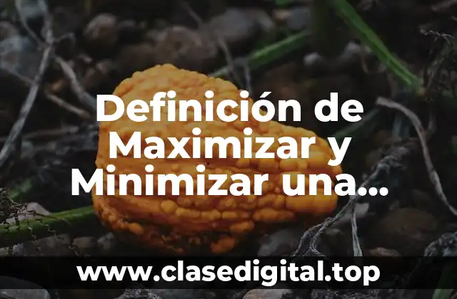 Definición de Maximizar y Minimizar una Función