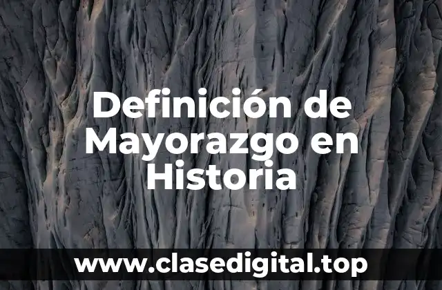 Definición de Mayorazgo en Historia