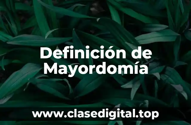 Definición de Mayordomía
