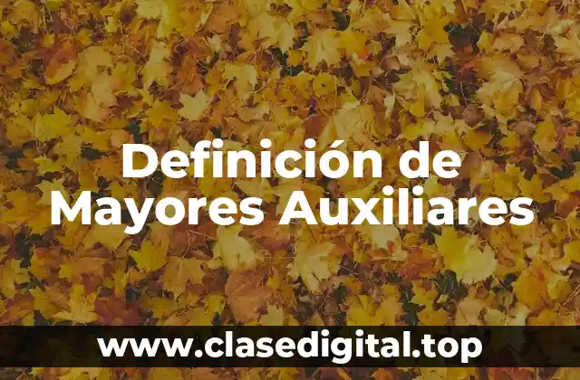Ejemplos de Mayores Auxiliares