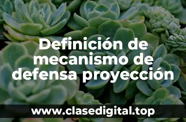 Ejemplos de mecanismo de defensa proyección