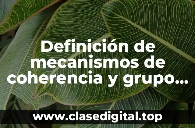 Definición de mecanismos de coherencia y grupo al que pertenece