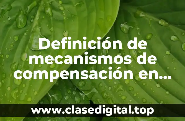 Definición de mecanismos de compensación en rehabilitación neuropsicológica