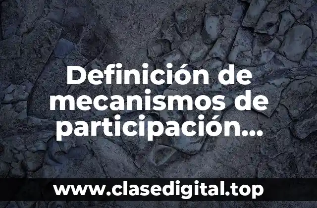Definición de mecanismos de participación política