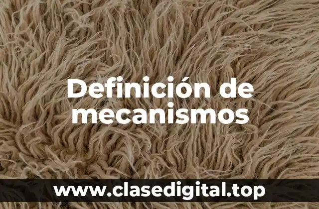 Definición técnica de mecanismo