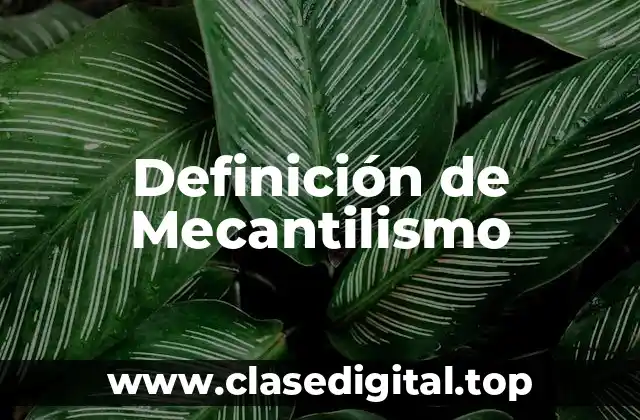 Definición de Mecantilismo