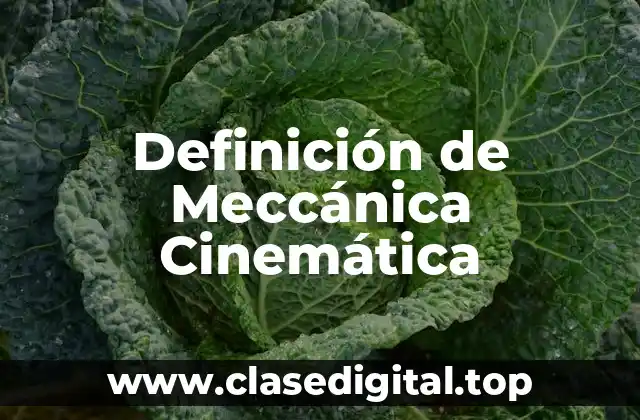 Definición de Meccánica Cinemática