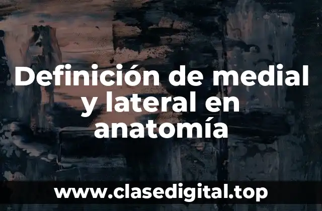 Definición de medial y lateral en anatomía