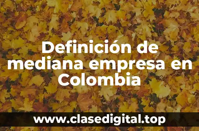 Definición de mediana empresa en Colombia