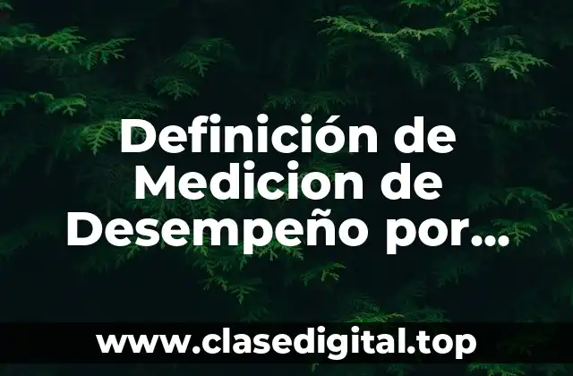 Definición de Medicion de Desempeño por Arias Galicia