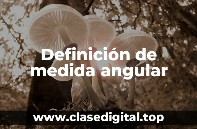 Definición de medida angular