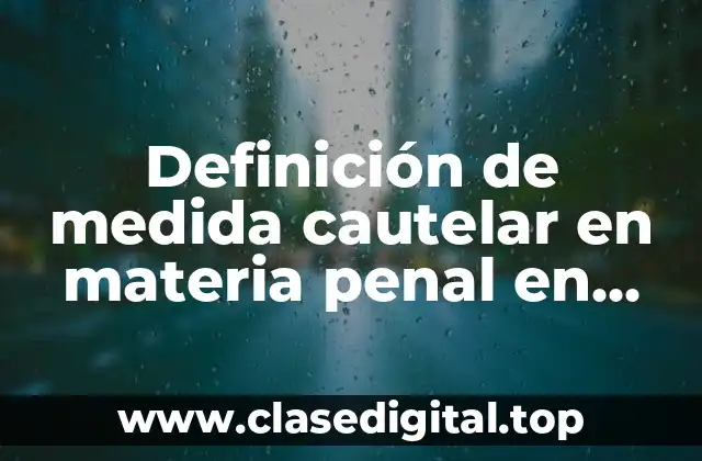 Definición técnica de medida cautelar en materia penal en México