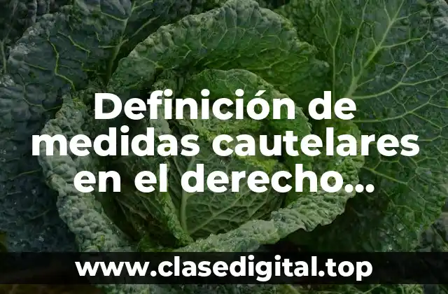 Definición de medidas cautelares en el derecho internacional público