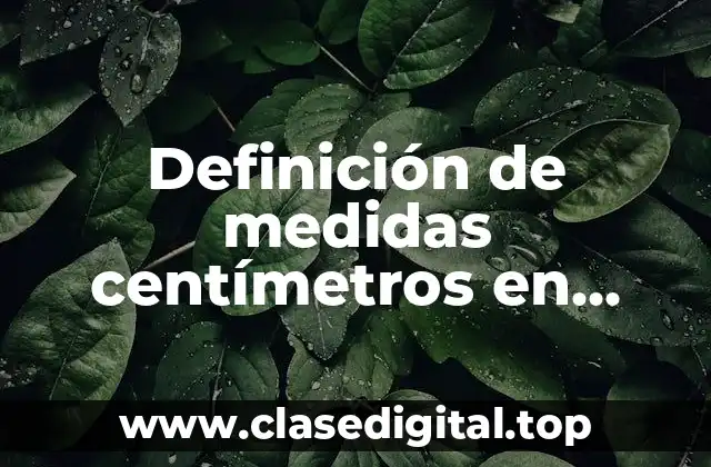 Definición de medidas centímetros en diseño gráfico