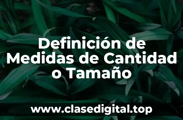 Definición de Medidas de Cantidad o Tamaño