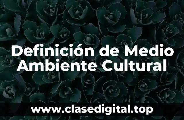 Definición de Medio Ambiente Cultural