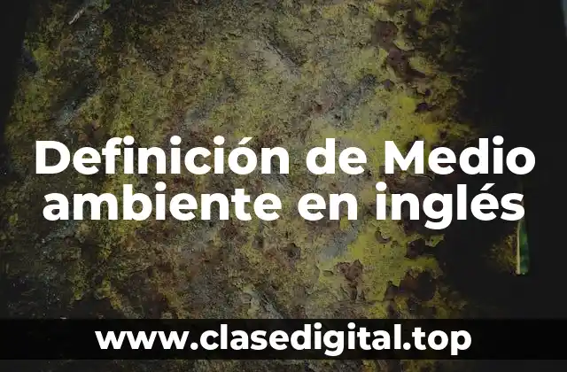 Definición de Medio ambiente en inglés
