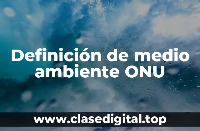 Definición de medio ambiente ONU