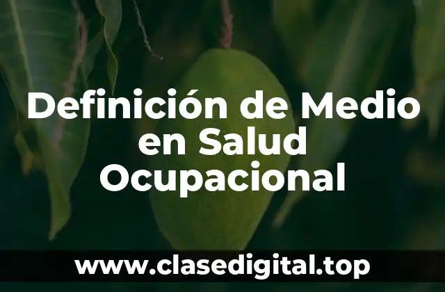 Definición de Medio en Salud Ocupacional