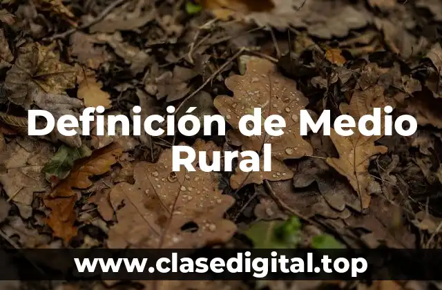 Definición técnica de Medio Rural