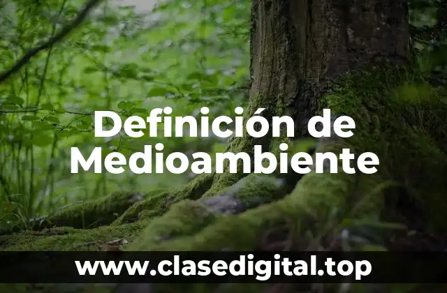 Definición técnica de Medioambiente