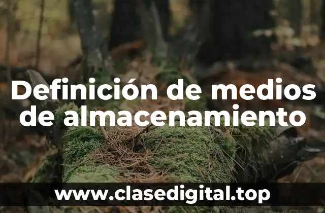Ejemplos de medios de almacenamiento