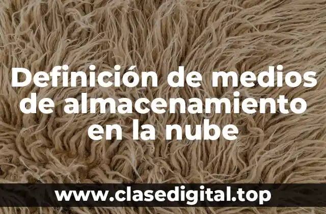 Ejemplos de medios de almacenamiento en la nube