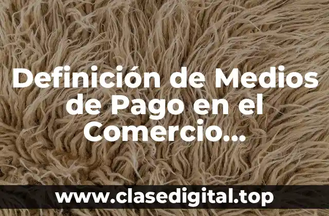 Definición de Medios de Pago en el Comercio Internacional
