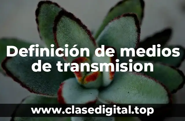 Definición de medios de transmision