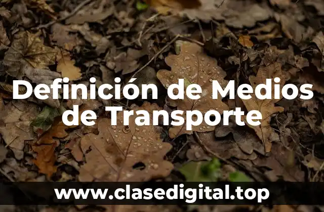 Definición de Medios de Transporte