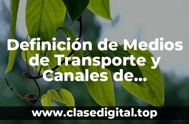 Definición de Medios de Transporte y Canales de Distribución