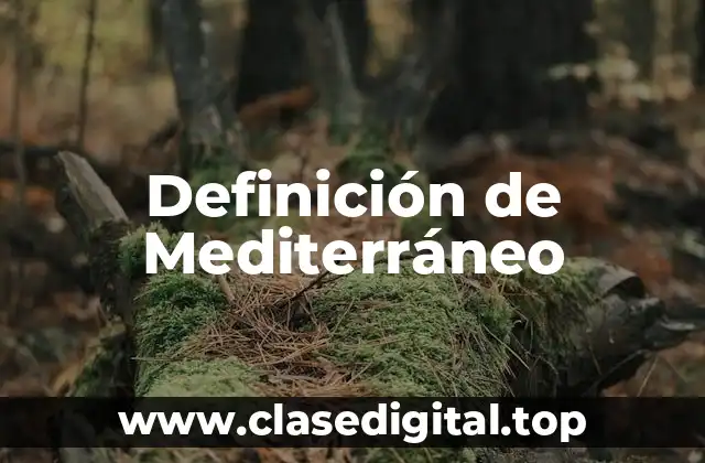 Definición de Mediterráneo