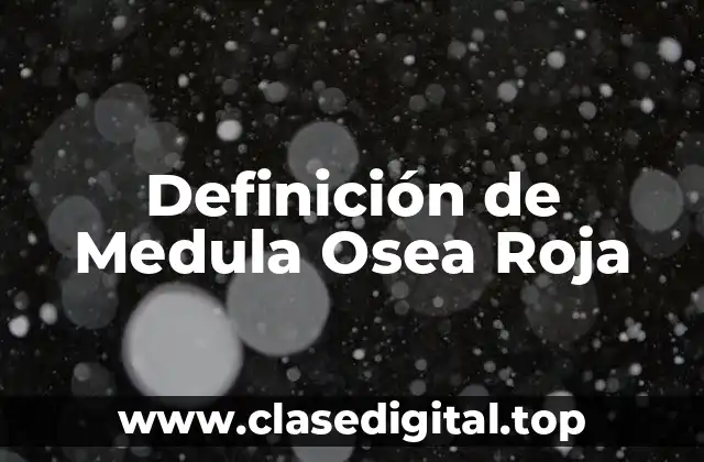 Definición de Medula Osea Roja