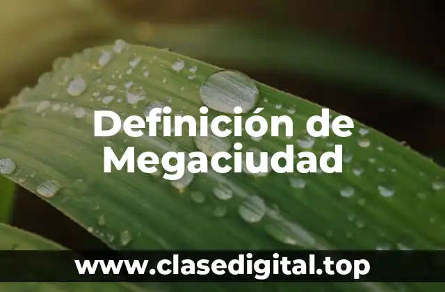 Definición de Megaciudad