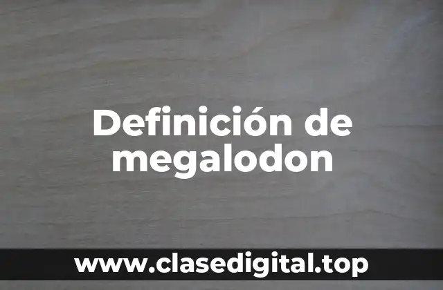 Definición de megalodon