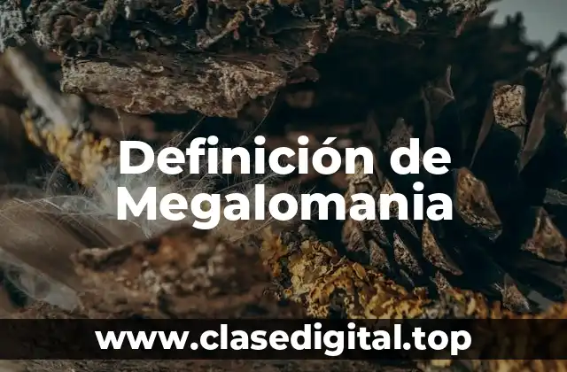 Definición de Megalomania