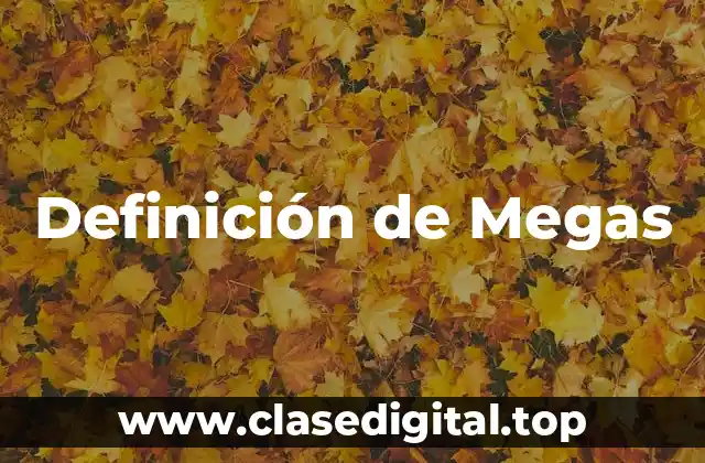 Definición de Megas