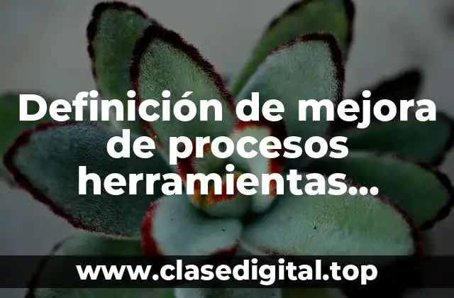 Definición de mejora de procesos herramientas euskalti