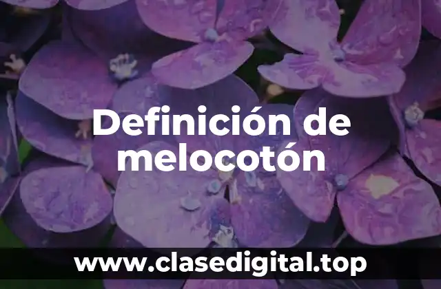 Definición de melocotón