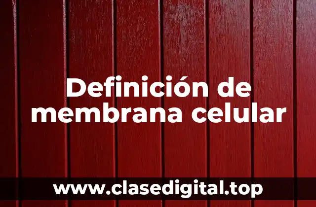 Ejemplos de membrana celular