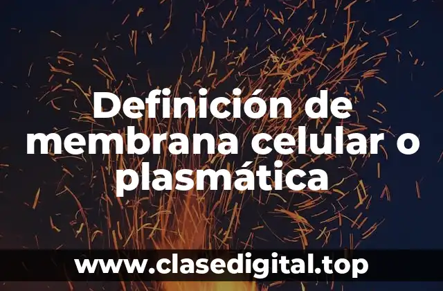 Definición de membrana celular o plasmática