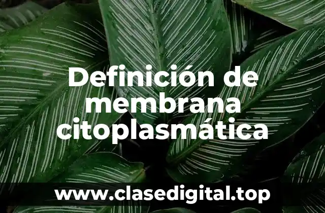Definición de membrana citoplasmática