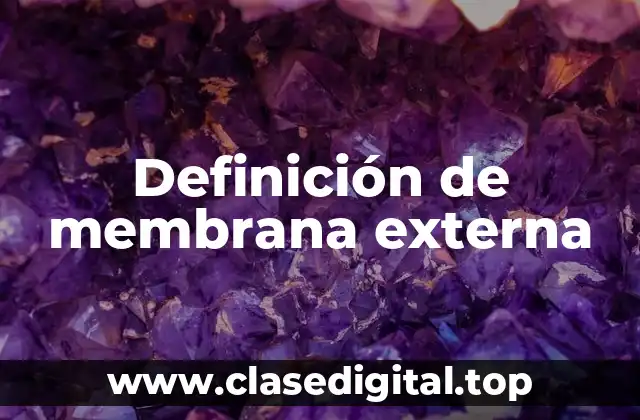 Definición técnica de membrana externa