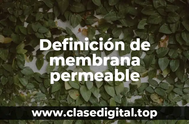 Definición de membrana permeable
